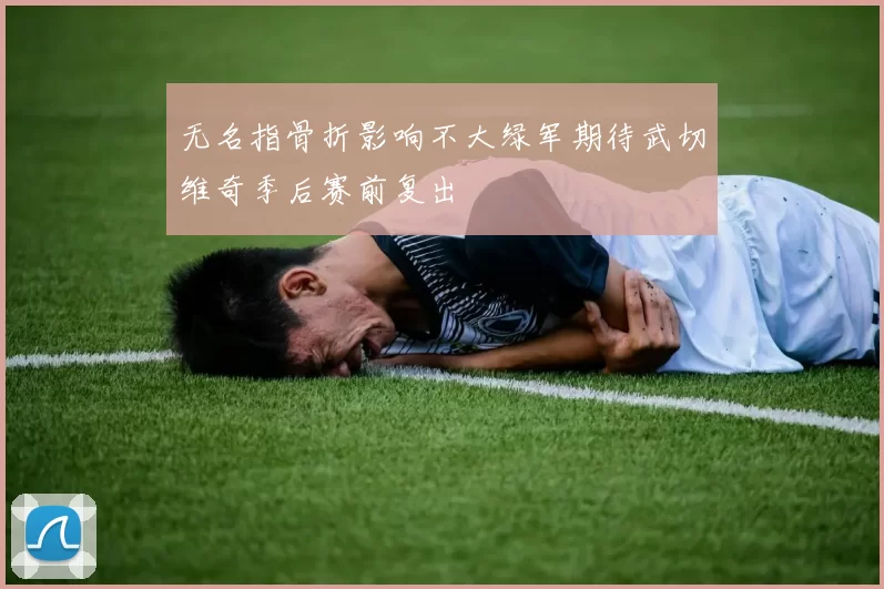 无名指骨折影响不大绿军期待武切维奇季后赛前复出