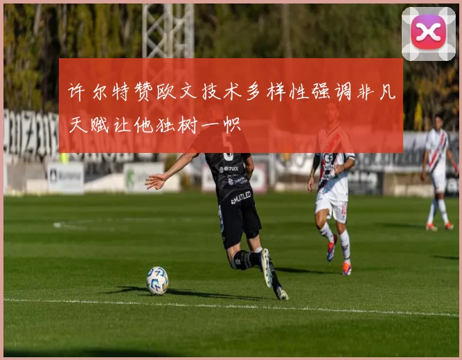 许尔特赞欧文技术多样性强调非凡天赋让他独树一帜
